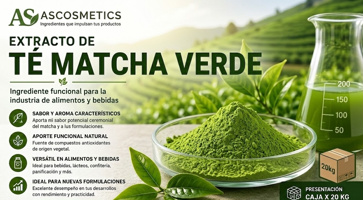 Extracto de Matcha